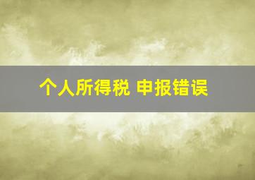 个人所得税 申报错误